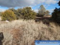 Buyer needs to verify zoning & that city utilities are available for sale in Silver City New Mexico Grant County County on GolfHomes.com