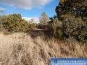 Buyer needs to verify zoning & which city utilities are for sale in Silver City New Mexico Grant County County on GolfHomes.com
