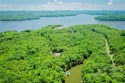 Beautiful estate cove lot in one of the most secluded sections for sale in New London North Carolina Montgomery County County on GolfHomes.com