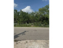 2 lots on the 4th Green of the Fort Clark Springs golf course for sale in Brackettville Texas Kinney County County on GolfHomes.com