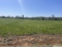 Check out this 3 acre lot for building a home on, in a beautiful for sale in Fredericktown Missouri Madison County County on GolfHomes.com