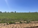 Check out this 3ac lot for building a home in a beautiful part for sale in Fredericktown Missouri Madison County County on GolfHomes.com