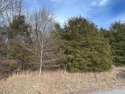 Nice, fairly level 0.32 acre lot with a slight upslope.  Great for sale in Holiday Island Arkansas Carroll County County on GolfHomes.com