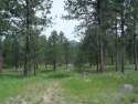  Ad# 6058017 golf course property for sale on GolfHomes.com