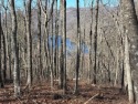 This luxury lot in Bear Lake Reserve features a gentle slope for for sale in Tuckasegee North Carolina Jackson County County on GolfHomes.com