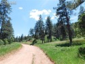 Beautiful Perry Park LOT is 0.934-acre in size with gently for sale in Larkspur Colorado Douglas County County on GolfHomes.com