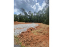 WILL BUILD TO SUIT new lot located in TURTLE COVE COMMUNITY for sale in Monticello Georgia Jasper County County on GolfHomes.com