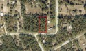 No HOA and endless possibilities! This 1.11-acre high-and-dry for sale in Ocala Florida Marion County County on GolfHomes.com