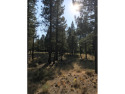 Check out this beautiful 2.04 acre wooded lot on the corner of for sale in Portola California Plumas County County on GolfHomes.com