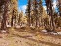 This is a rare Grays Crossing lot, one of the last available for sale in Truckee California Nevada County County on GolfHomes.com