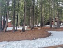 Lovely 1/2 acre lot with with 129 feet of street frontage makes for sale in Lake Almanor California Plumas County County on GolfHomes.com