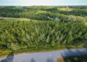 This large 1 acre wooded lot in Eagle Ridge Estates is located for sale in Coleraine Minnesota Itasca County County on GolfHomes.com