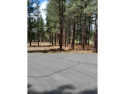 Discover the epitome of tranquil living at Lot 97 within Nakoma for sale in Portola California Plumas County County on GolfHomes.com