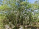 Lot for Sale in Citrus Springs Great Location!! Features:PDR for sale in Dunnellon Florida Citrus County County on GolfHomes.com