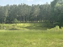  Ad# 6253842 golf course property for sale on GolfHomes.com