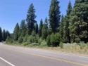 1.23 acres zoned C-2 on the Lake Almanor Peninsula. Not many for sale in Lake Almanor California Plumas County County on GolfHomes.com