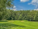 7480 Regency Lane for sale in Canadian Lakes Michigan Mecosta County County on GolfHomes.com