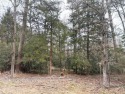 Located just east of Dallas in the 'Piney Woods of East Texas' - for sale in Hawkins Texas Wood County County on GolfHomes.com