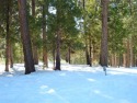 Approx. 1.17-acre lot in the gated community of Grizzly Ranch for sale in Portola California Plumas County County on GolfHomes.com