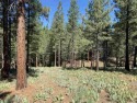 COMBO LOT OFFERING - 1.08 acres in total, two adjacent secluded for sale in Portola California Plumas County County on GolfHomes.com