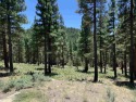 COMBO LOT OFFERING - 2.36 acres in total, two adjacent big view for sale in Portola California Plumas County County on GolfHomes.com