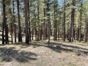 COMBO LOT OFFERING - 6.68 acres in total, two adjacent oversized for sale in Portola California Plumas County County on GolfHomes.com