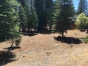 Looking for the perfect lot to build your dream home? Look no for sale in Chester California Plumas County County on GolfHomes.com