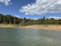 LAKEFRONT LIVING AT ITS BEST!  Discover the perfect spot to for sale in Drasco Arkansas Cleburne County County on GolfHomes.com