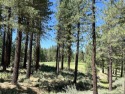 HERE IT IS - THE LOT YOU'VE BEEN WAITING TO DISCOVER... AT for sale in Portola California Plumas County County on GolfHomes.com