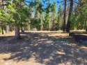 Beautiful parcel in Lake Almanor West. .80 acres. Great building for sale in Lake Almanor West California Plumas County County on GolfHomes.com