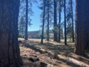 IN THE HEART OF IT ALL - IN PLUMAS PINES!!! This level building for sale in Blairsden California Plumas County County on GolfHomes.com