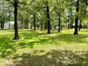 Beautiful lot w/Oaks in Lake Fork Subdivision near golfing! for sale in Yantis Texas Wood County County on GolfHomes.com