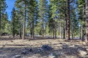 Shaffers Mill Golf Course Lot Sale Pending for sale in Truckee California Placer County County on GolfHomes.com