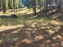 Nice, private parcel in Lake Almanor West. Over an acre, so lots for sale in Lake Almanor West California Plumas County County on GolfHomes.com