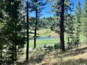 THIS GRIZZLY RANCH HOMESITE IS NOTHING SHORT OF A DREAM COME for sale in Portola California Plumas County County on GolfHomes.com