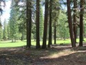 Beautiful Golf Course lot in Almanor West. Wonderful views of for sale in Lake Almanor West California Plumas County County on GolfHomes.com