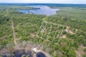 Vacant land - Build your home or have it delivered! Mobile / for sale in Chipley Florida Washington County County on GolfHomes.com