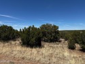 This large lot is located in beautiful White Mountain Lakes! for sale in White Mountain Lake Arizona Navajo County County on GolfHomes.com