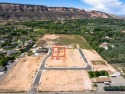 Awesome building site with Majestic views of the Colorado for sale in Grand Junction Colorado Mesa County County on GolfHomes.com