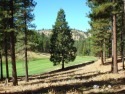 This 0.42 acre vacant parcel, located at the end of a cul-de-sac for sale in Portola California Plumas County County on GolfHomes.com