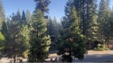 An amazing opportunity! With the amenities of the Lake Almanor for sale in Chester California Plumas County County on GolfHomes.com