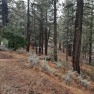  Ad# 5661873 golf course property for sale on GolfHomes.com