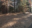 Build your dream house on this nice, big wooded lot and enjoy, Texas