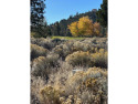 Beautiful Golf Course Lot - Stunning Views Await You - Build for sale in Weed California Siskiyou County County on GolfHomes.com