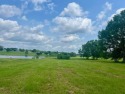 12.71 Waterfront Acres more or less located on Tiffany Drive in for sale in Franklinton Louisiana Washington Parish County on GolfHomes.com