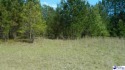 Lot# 279 in Persimmon Fields Subdivision offers a tranquil for sale in Johnsonville South Carolina Florence County County on GolfHomes.com