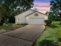 Honey stop the car! Welcome to 1037 Birkdale Trail where for sale in Winter Springs Florida Seminole County County on GolfHomes.com