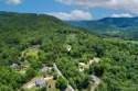 Beautiful estate view lots being sold as one custom building for sale in Weaverville North Carolina Buncombe County County on GolfHomes.com