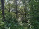 This level wooded lot is a great option for buyers looking to for sale in Breezy Point Minnesota Crow Wing County County on GolfHomes.com