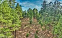 Attention Builders....OWC.  Heavily treed lot in Torreon Woods for sale in Show Low Arizona Navajo County County on GolfHomes.com
